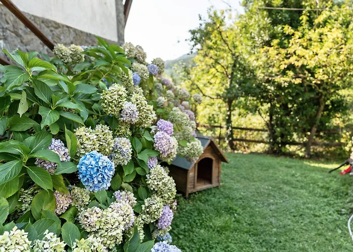 Lägenhet La Squazza